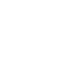 Natural Stone Institute